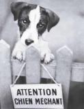 chien mechant